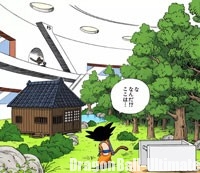 Le jardin du Ninja Murasaki