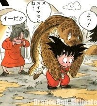 Gokū emporte la tortue avec lui