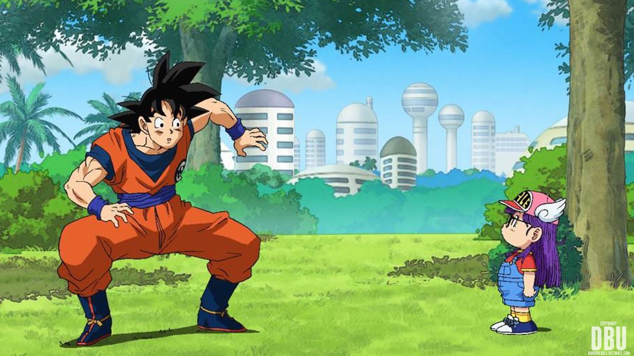Goku e Nº17 se encontram pela primeira vez